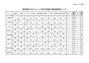 SE3B最終結果のサムネイル